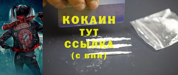 соль ск Алексин
