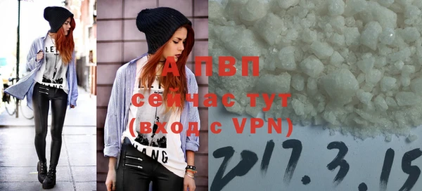 соль ск Алексин