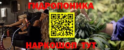 винт Можга