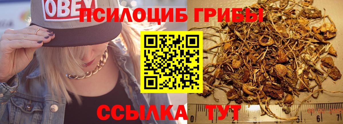 Псилоцибиновые грибы GOLDEN TEACHER Родники