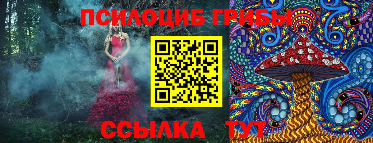 купить наркоту  Псилоцибиновые грибы Magic Shrooms  Вход с VPN  Родники  Псилоцибиновые грибы мухоморы 